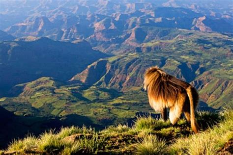 Il Monastero di Debre Libanos: Un gioiello storico e spirituale nascosto sulle montagne etiopi!