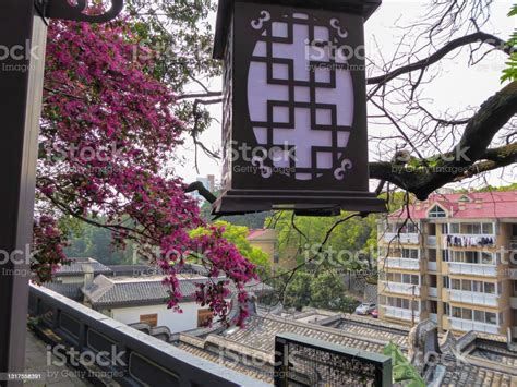 Il Panoramic Pavilion di Fuzhou: Un Giardino Zen sospeso tra Cielo e Terra!