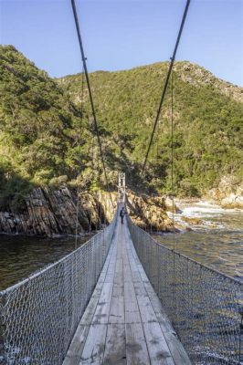 Il Quaint Garden Route National Park: Un paradiso di biodiversità e avventura!