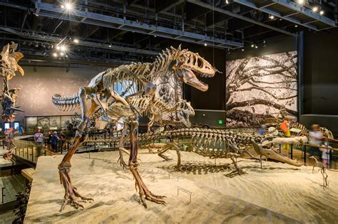  Il Museo di Storia Naturale di Utah: Un Oasis di Dinosauri e Cristalli Luminosi!